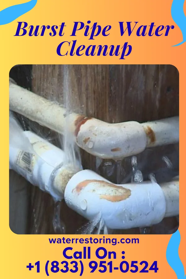 Burst Pipe Water Cleanup in Wildomar, CA